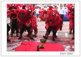 JOY Team - CNY 2007