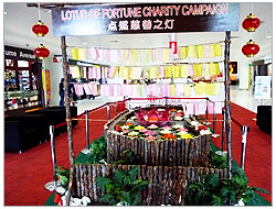 CNY 06