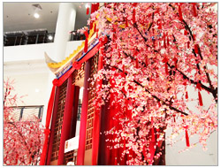 CNY 06