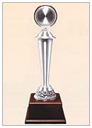 Pewter 1