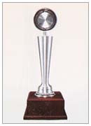 Pewter 10