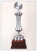 Pewter 11