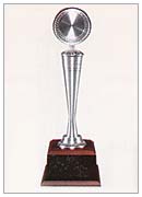 Pewter 12
