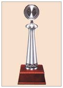 Pewter 5