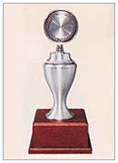 Pewter 6