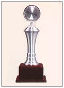 Pewter 7