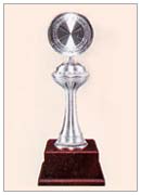 Pewter 8