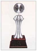 Pewter 9