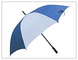 Umbrella 2