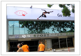 QM Sport 6